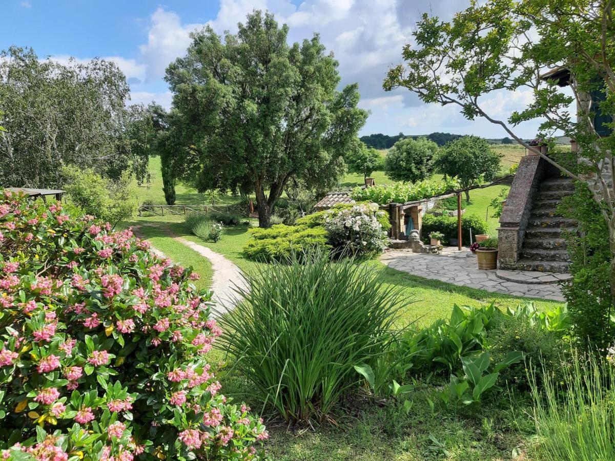 Agriturismo Cantinaccia Di Sopra Pitigliano Ngoại thất bức ảnh
