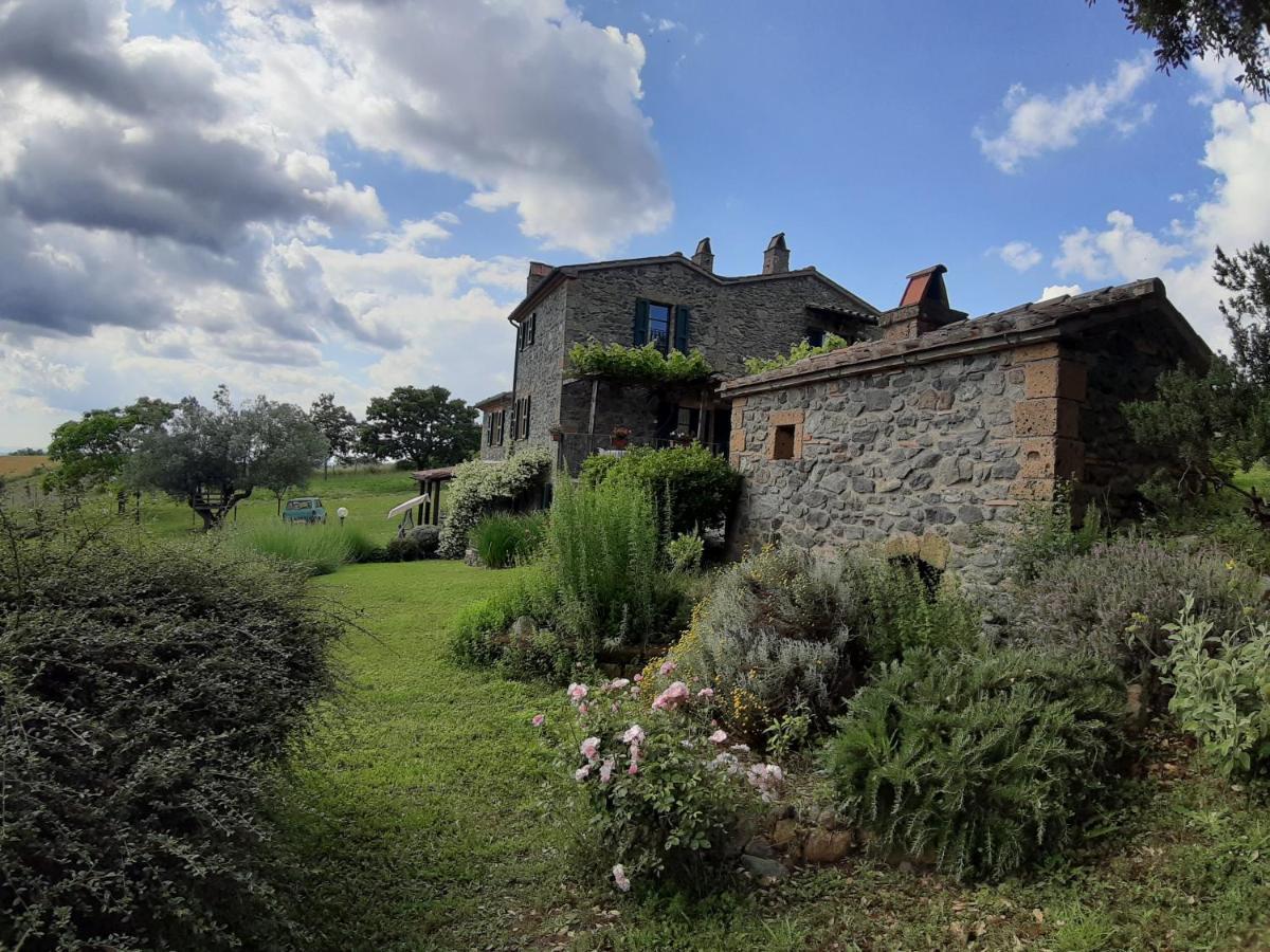 Agriturismo Cantinaccia Di Sopra Pitigliano Ngoại thất bức ảnh