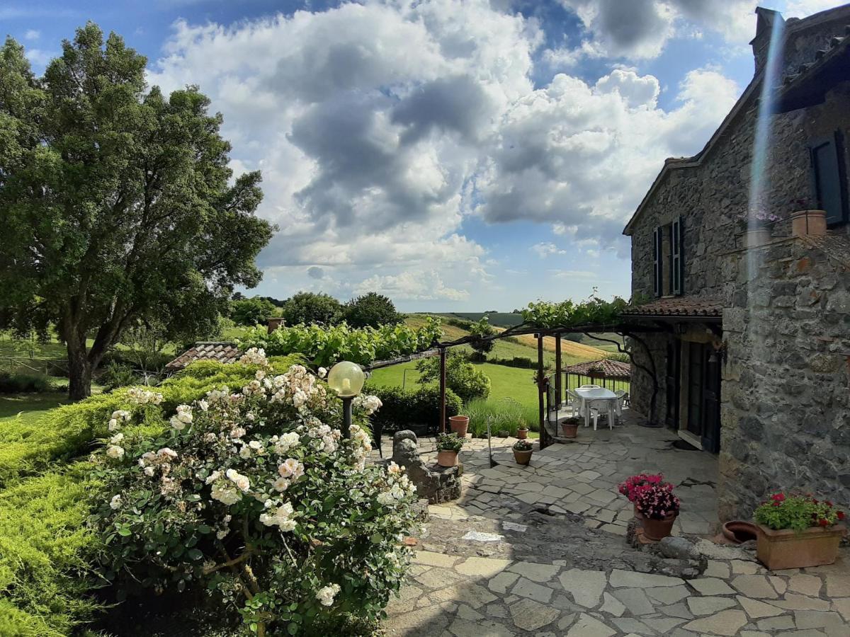 Agriturismo Cantinaccia Di Sopra Pitigliano Ngoại thất bức ảnh