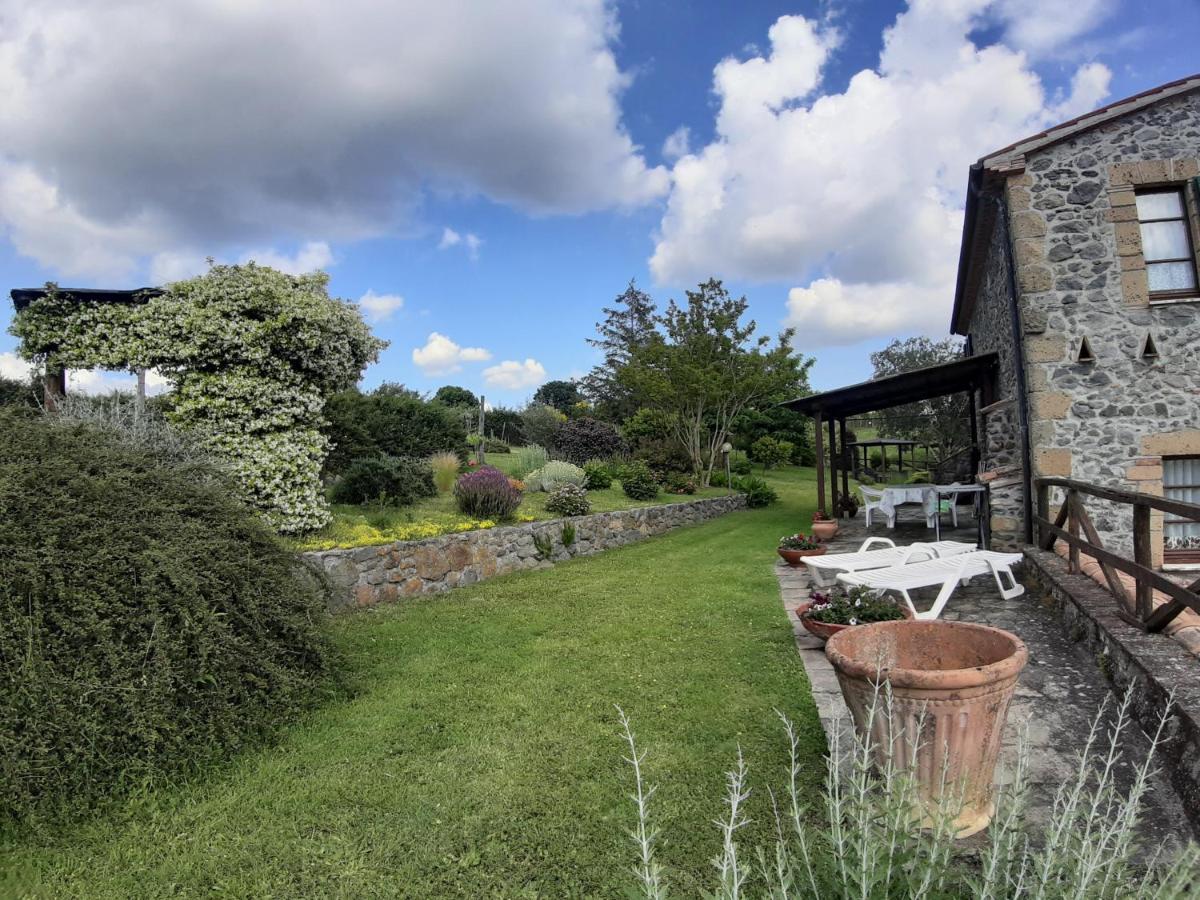 Agriturismo Cantinaccia Di Sopra Pitigliano Ngoại thất bức ảnh