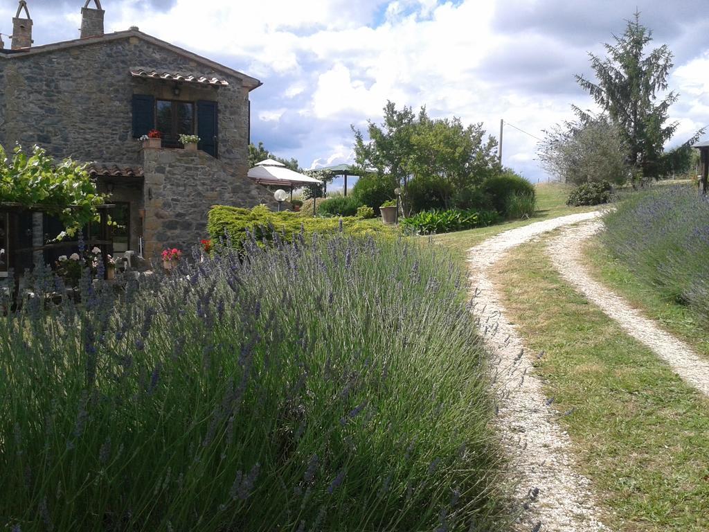 Agriturismo Cantinaccia Di Sopra Pitigliano Ngoại thất bức ảnh