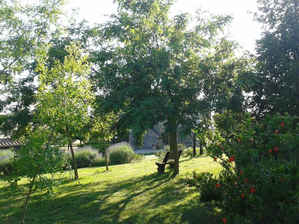 Agriturismo Cantinaccia Di Sopra Pitigliano Ngoại thất bức ảnh