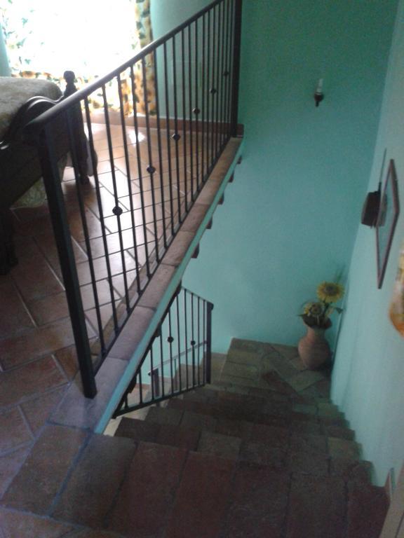 Agriturismo Cantinaccia Di Sopra Pitigliano Ngoại thất bức ảnh